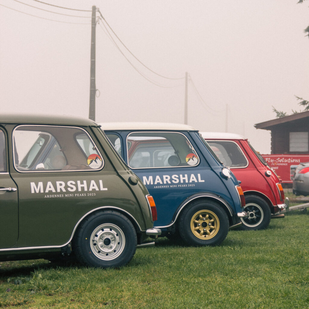 Marshal classic mini in a field